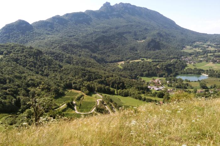 Randonnées organisé par Arts en Choeur